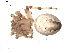  ( - BIOUG00041-D03)  @12 [ ] Copyright  G. Blagoev 2010 Unspecified