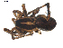  ( - BIOUG00041-E08)  @12 [ ] Copyright  G. Blagoev 2010 Unspecified