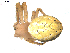  ( - BIOUG00041-E09)  @12 [ ] Copyright  G. Blagoev 2010 Unspecified
