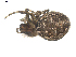  ( - BIOUG00041-E12)  @12 [ ] Copyright  G. Blagoev 2010 Unspecified