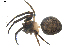  ( - BIOUG00041-F01)  @12 [ ] Copyright  G. Blagoev 2010 Unspecified