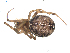  ( - BIOUG00041-F11)  @13 [ ] Copyright  G. Blagoev 2010 Unspecified