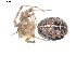  ( - BIOUG00041-G01)  @12 [ ] Copyright  G. Blagoev 2010 Unspecified