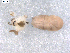  ( - BIOUG00041-G02)  @12 [ ] Copyright  G. Blagoev 2010 Unspecified