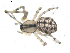  ( - BIOUG00041-G11)  @12 [ ] Copyright  G. Blagoev 2010 Unspecified