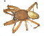  ( - BIOUG00160-B12)  @14 [ ] Copyright  G. Blagoev 2010 Unspecified