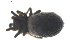  ( - BIOUG00160-H02)  @12 [ ] Copyright  G. Blagoev 2010 Unspecified