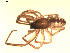  ( - BIOUG00524-D10)  @12 [ ] Copyright  G. Blagoev 2010 Unspecified
