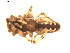  ( - BIOUG00524-D11)  @12 [ ] Copyright  G. Blagoev 2010 Unspecified