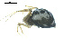  ( - BIOUG00528-H06)  @12 [ ] Copyright  G. Blagoev 2010 Unspecified