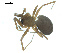  ( - BIOUG00528-H08)  @12 [ ] Copyright  G. Blagoev 2010 Unspecified