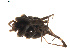  ( - BIOUG00886-G12)  @11 [ ] Copyright  G. Blagoev 2011 Unspecified