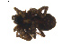  ( - BIOUG00887-A05)  @12 [ ] Copyright  G. Blagoev 2011 Unspecified