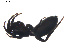  ( - BIOUG00887-A10)  @12 [ ] Copyright  G. Blagoev 2011 Unspecified