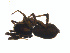  ( - BIOUG00887-E10)  @12 [ ] Copyright  G. Blagoev 2011 Unspecified