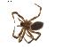  ( - BIOUG00887-G02)  @12 [ ] Copyright  G. Blagoev 2011 Unspecified