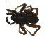  ( - BIOUG00887-H05)  @12 [ ] Copyright  G. Blagoev 2011 Unspecified