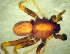  ( - CCDB-10206-C11)  @12 [ ] Copyright  A. Nadolny 2011 Unspecified