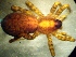  ( - CCDB-10206-D03)  @14 [ ] Copyright  A. Nadolny 2011 Unspecified