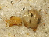  ( - BIOUG01629-H07)  @12 [ ] Copyright  N. Fritzen 2011 Unspecified