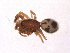  ( - BIOUG00883-D03)  @12 [ ] Copyright  G. Blagoev 2010 Unspecified
