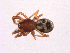  ( - BIOUG00883-G09)  @12 [ ] Copyright  G. Blagoev 2010 Unspecified