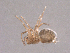  ( - BIOUG00884-D10)  @12 [ ] Copyright  G. Blagoev 2010 Unspecified