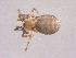  ( - BIOUG00884-D11)  @12 [ ] Copyright  G. Blagoev 2010 Unspecified