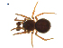  ( - BIOUG75003-B02)  @11 [ ] CreativeCommons - Attribution Non-Commercial Share-Alike (2022) Centre for Biodiversity Genomics Centre for Biodiversity Genomics