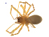  ( - BIOUG75003-C10)  @11 [ ] CreativeCommons - Attribution Non-Commercial Share-Alike (2022) Centre for Biodiversity Genomics Centre for Biodiversity Genomics