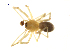  ( - BIOUG75003-C12)  @11 [ ] CreativeCommons - Attribution Non-Commercial Share-Alike (2022) Centre for Biodiversity Genomics Centre for Biodiversity Genomics