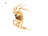  (Mythoplastoides exiguus - BIOUG75003-D03)  @11 [ ] CreativeCommons - Attribution Non-Commercial Share-Alike (2022) Centre for Biodiversity Genomics Centre for Biodiversity Genomics