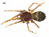  ( - BIOUG75003-G07)  @11 [ ] CreativeCommons - Attribution Non-Commercial Share-Alike (2022) Centre for Biodiversity Genomics Centre for Biodiversity Genomics
