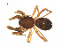  ( - BIOUG75003-G08)  @11 [ ] CreativeCommons - Attribution Non-Commercial Share-Alike (2022) Centre for Biodiversity Genomics Centre for Biodiversity Genomics
