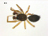  ( - BIOUG75003-H05)  @11 [ ] CreativeCommons - Attribution Non-Commercial Share-Alike (2022) Centre for Biodiversity Genomics Centre for Biodiversity Genomics