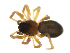  ( - BIOUG75004-B03)  @11 [ ] CreativeCommons - Attribution Non-Commercial Share-Alike (2022) Centre for Biodiversity Genomics Centre for Biodiversity Genomics