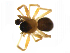  ( - BIOUG75004-B04)  @11 [ ] CreativeCommons - Attribution Non-Commercial Share-Alike (2022) Centre for Biodiversity Genomics Centre for Biodiversity Genomics