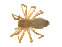  (Islandiana speophila - BIOUG75004-B05)  @11 [ ] CreativeCommons - Attribution Non-Commercial Share-Alike (2022) Centre for Biodiversity Genomics Centre for Biodiversity Genomics