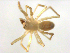  ( - BIOUG75004-B07)  @11 [ ] CreativeCommons - Attribution Non-Commercial Share-Alike (2022) Centre for Biodiversity Genomics Centre for Biodiversity Genomics