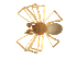  ( - BIOUG75004-C09)  @11 [ ] CreativeCommons - Attribution Non-Commercial Share-Alike (2022) Centre for Biodiversity Genomics Centre for Biodiversity Genomics