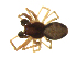  ( - BIOUG75004-D07)  @11 [ ] CreativeCommons - Attribution Non-Commercial Share-Alike (2022) Centre for Biodiversity Genomics Centre for Biodiversity Genomics