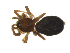  ( - BIOUG75004-E04)  @11 [ ] CreativeCommons - Attribution Non-Commercial Share-Alike (2022) Centre for Biodiversity Genomics Centre for Biodiversity Genomics