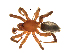  ( - BIOUG90617-C09)  @11 [ ] CreativeCommons - Attribution Non-Commercial Share-Alike (2022) Centre for Biodiversity Genomics Centre for Biodiversity Genomics