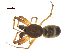  ( - BIOUG90617-G12)  @11 [ ] CreativeCommons - Attribution Non-Commercial Share-Alike (2022) Centre for Biodiversity Genomics Centre for Biodiversity Genomics
