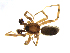  ( - BIOUG90617-H05)  @11 [ ] CreativeCommons - Attribution Non-Commercial Share-Alike (2022) Centre for Biodiversity Genomics Centre for Biodiversity Genomics
