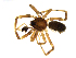  ( - BIOUG90617-H06)  @11 [ ] CreativeCommons - Attribution Non-Commercial Share-Alike (2022) Centre for Biodiversity Genomics Centre for Biodiversity Genomics