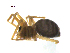 ( - BIOUG90618-B10)  @11 [ ] CreativeCommons - Attribution Non-Commercial Share-Alike (2022) Centre for Biodiversity Genomics Centre for Biodiversity Genomics