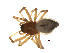  ( - BIOUG90618-D12)  @11 [ ] CreativeCommons - Attribution Non-Commercial Share-Alike (2022) Centre for Biodiversity Genomics Centre for Biodiversity Genomics