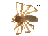  (Islandiana sp. 4MM - BIOUG90618-E06)  @11 [ ] CreativeCommons - Attribution Non-Commercial Share-Alike (2022) Centre for Biodiversity Genomics Centre for Biodiversity Genomics