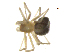  ( - BIOUG90618-E10)  @11 [ ] CreativeCommons - Attribution Non-Commercial Share-Alike (2022) Centre for Biodiversity Genomics Centre for Biodiversity Genomics